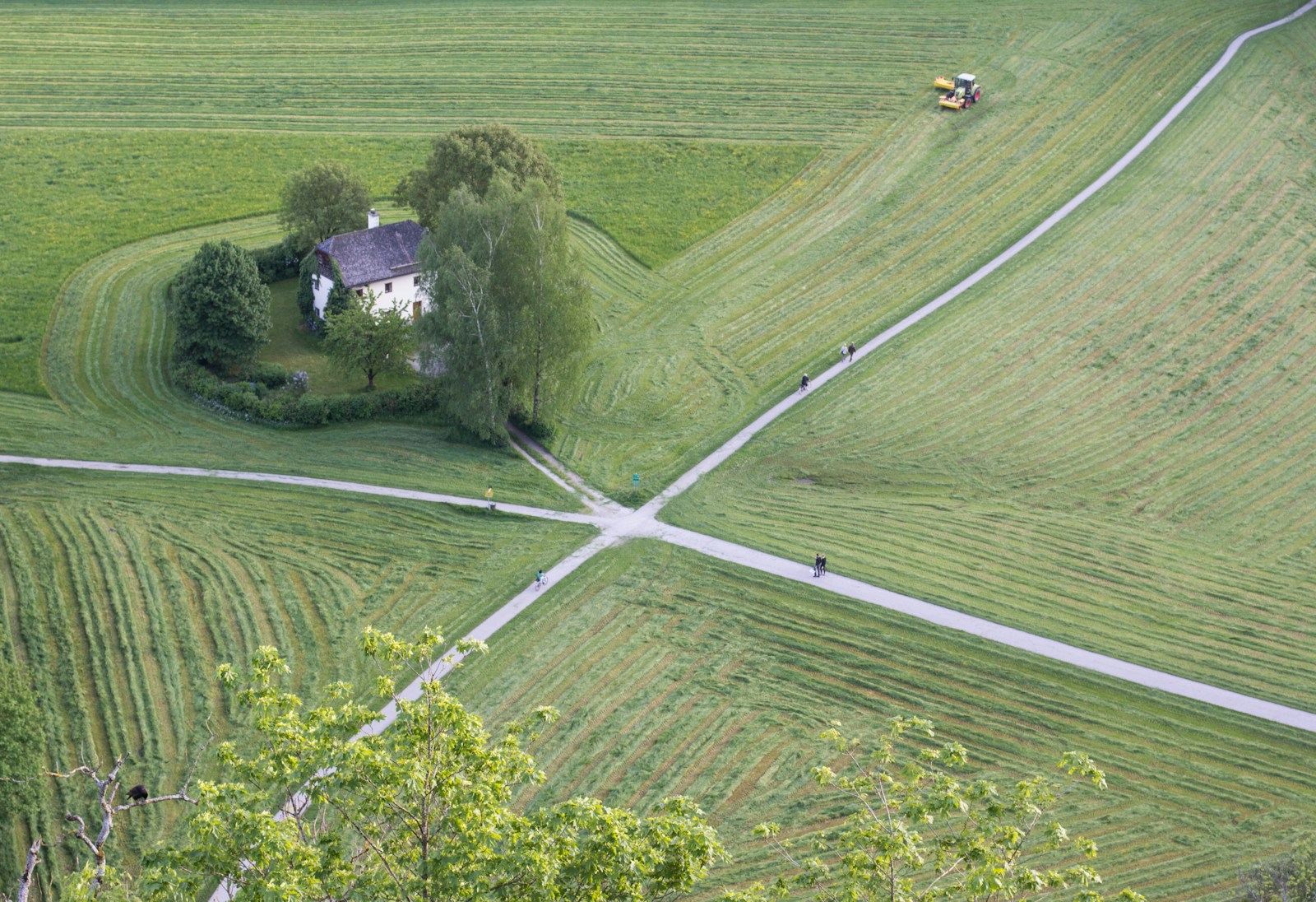 Bauernhof inmitten grüner Wiesen