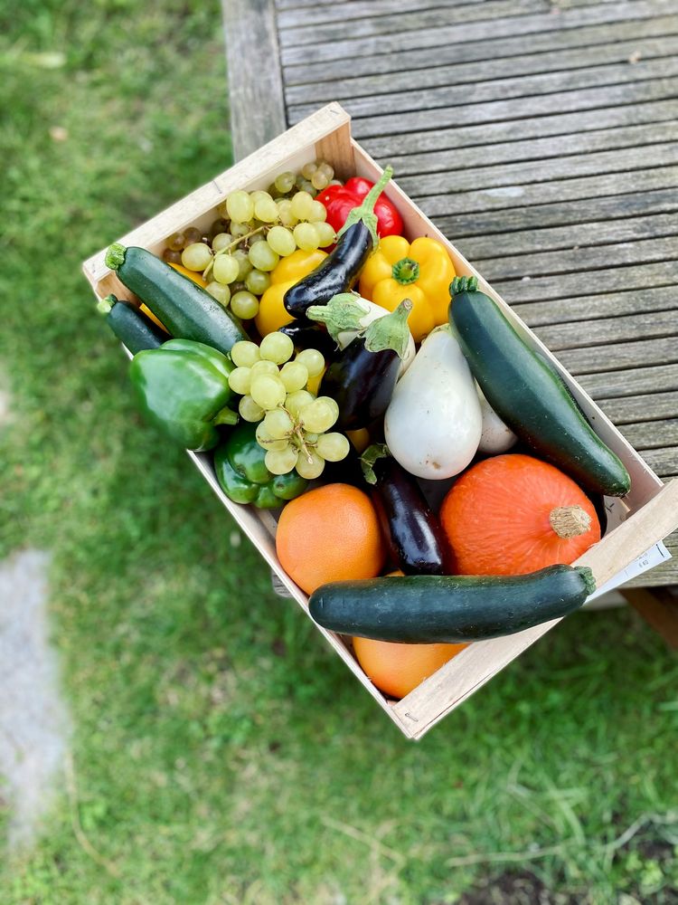 Kiste mit Trauben, Orangen und Gemüse